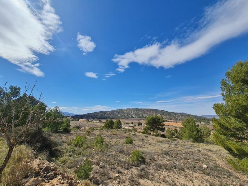 Terrain à vendre