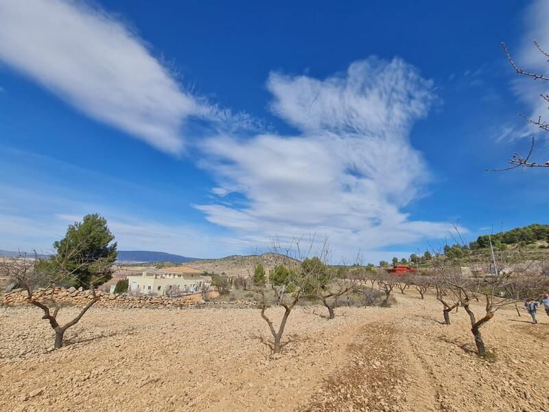 Terrain à vendre