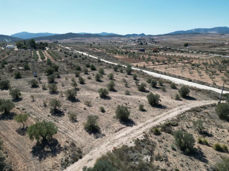 Terrain à vendre dans Pinoso, Alicante