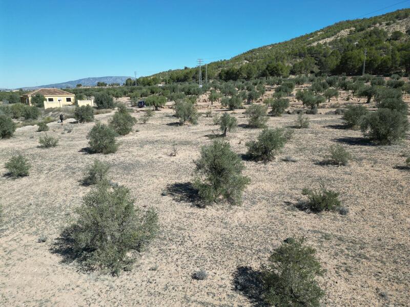 Land for sale