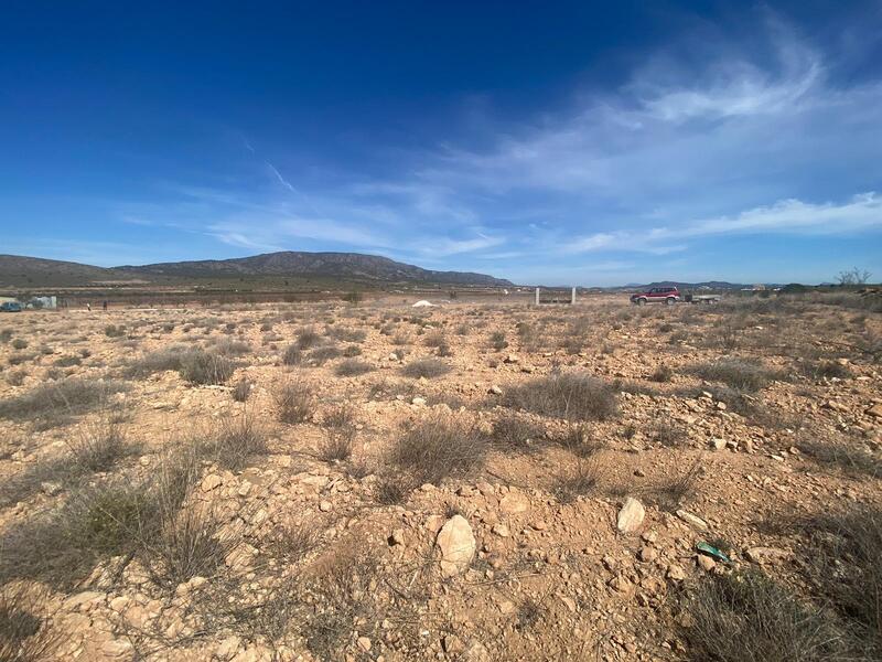 Land for sale in Pinoso, Alicante