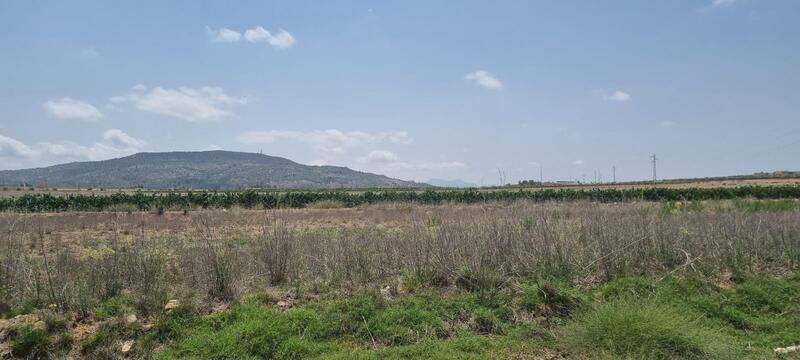 Land for sale