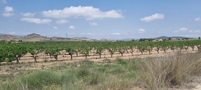 Terrenos en venta