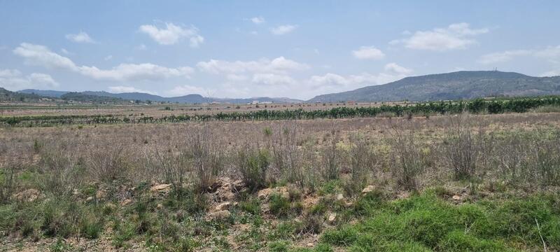 Land for sale