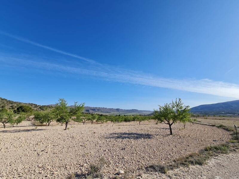 Terrenos en venta