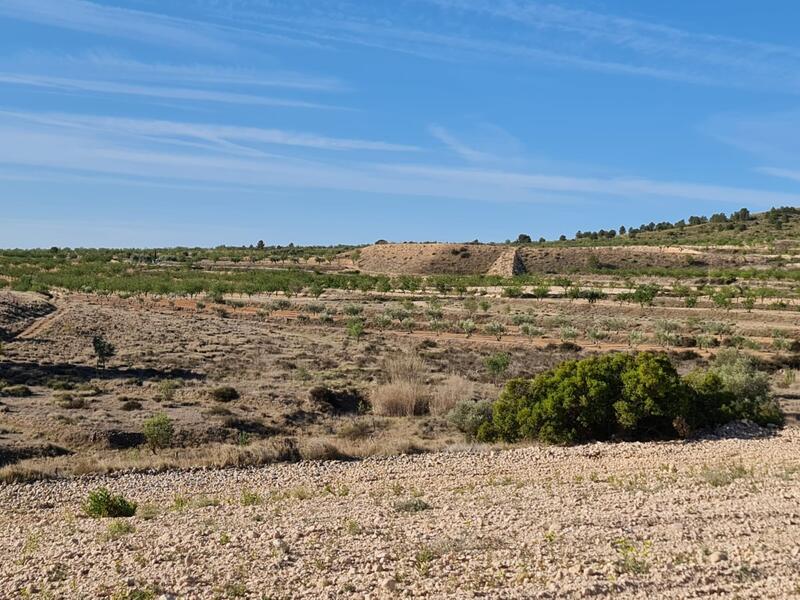 Terrenos en venta