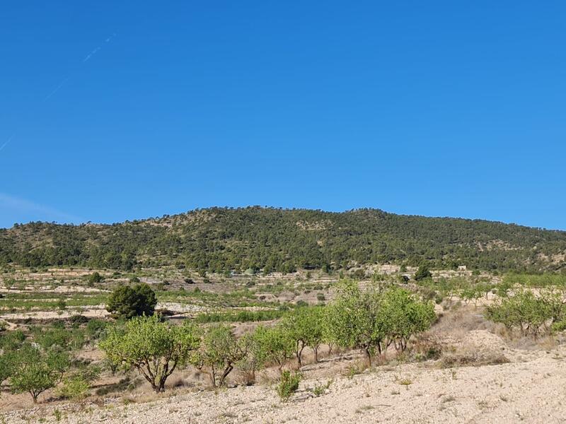 Terrain à vendre