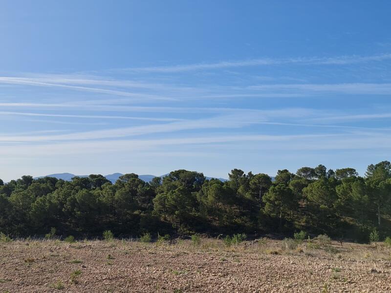 Terrenos en venta