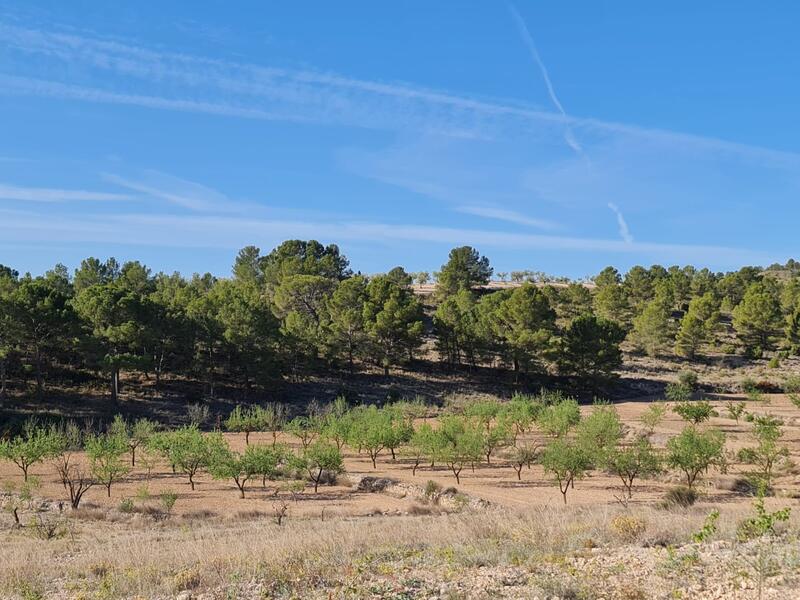 Terrain à vendre