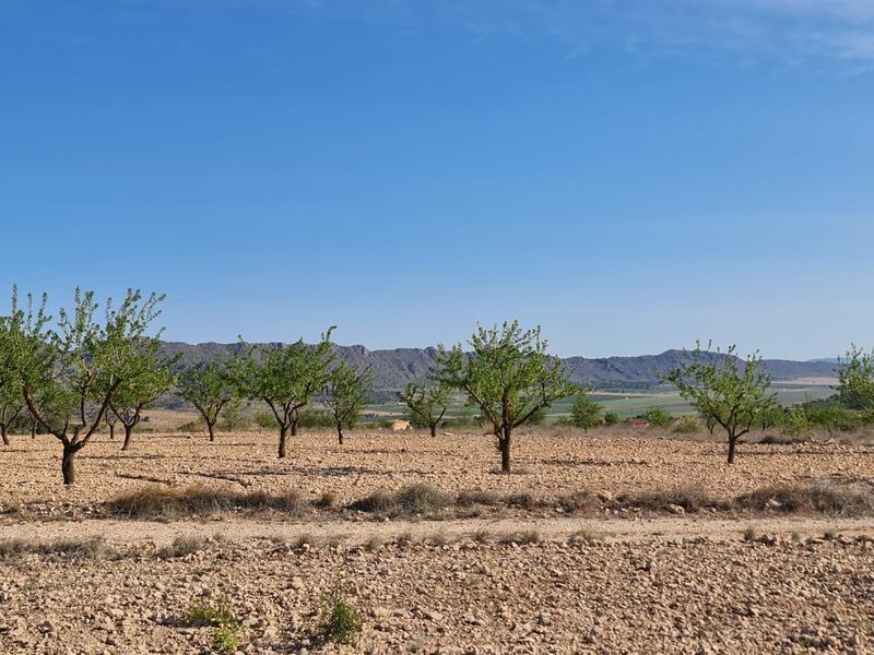 Terrenos en venta