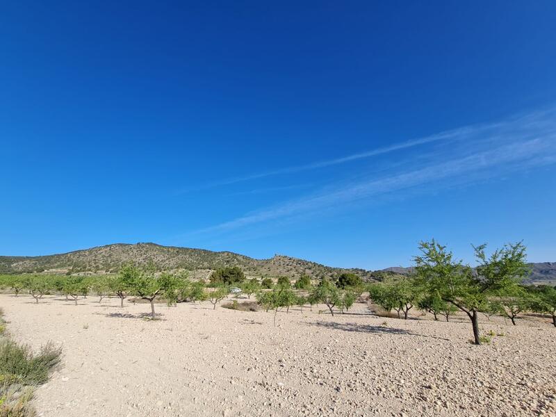 Terrain à vendre