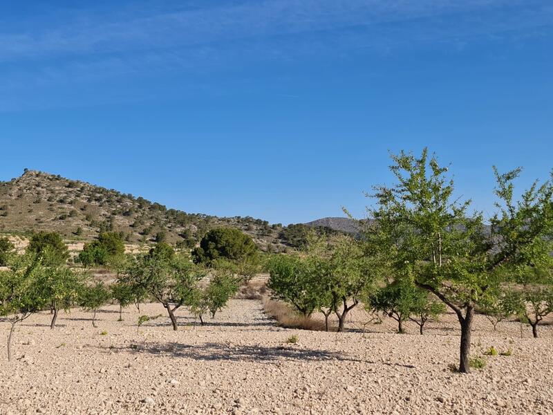 Terrenos en venta