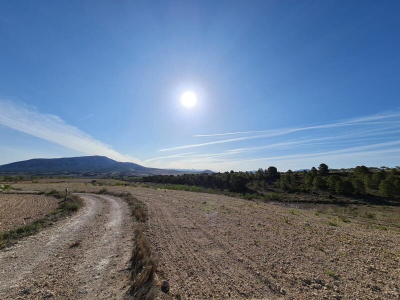 Terrenos en venta