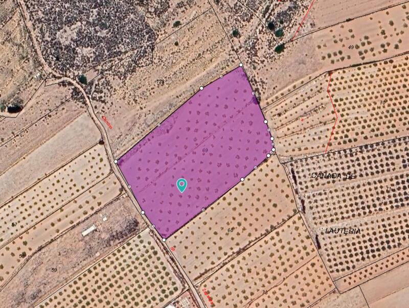 Land for sale in Pinoso, Alicante