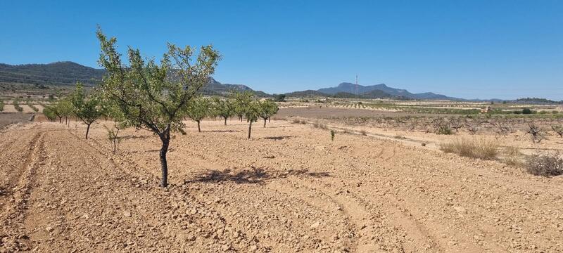 Terrenos en venta