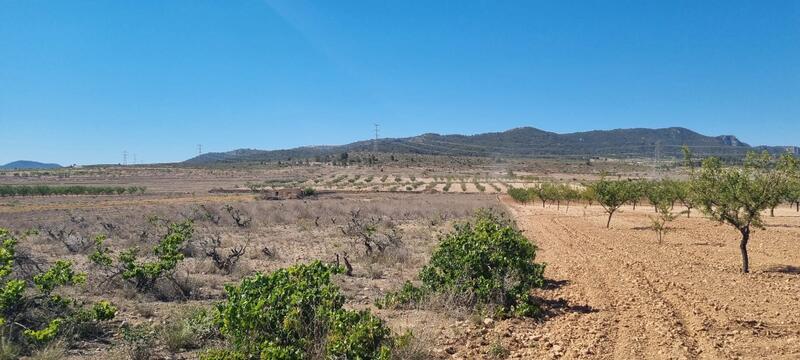 Terrenos en venta