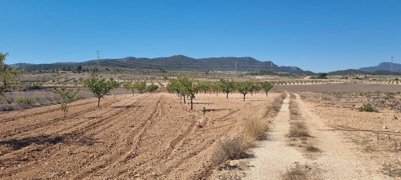 Terrenos en venta