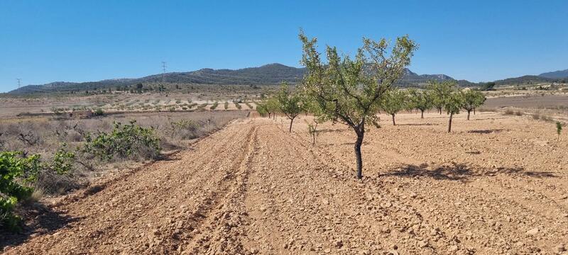 Terrenos en venta