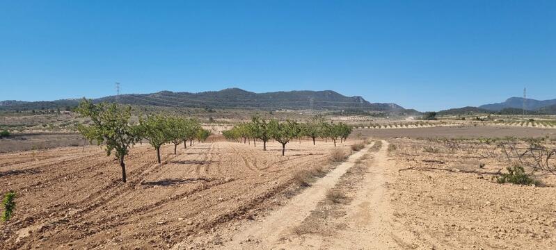 Terrenos en venta