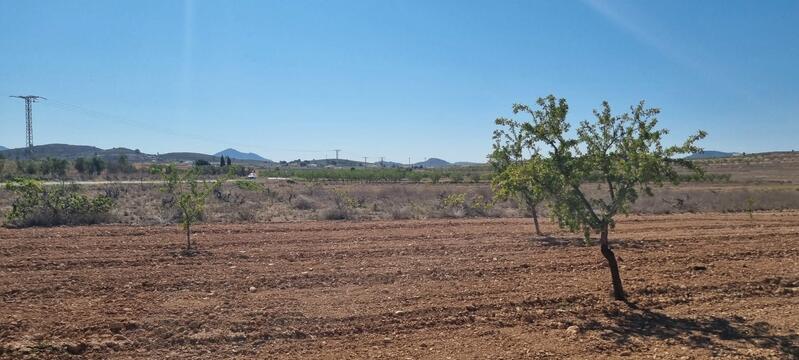 Terrenos en venta