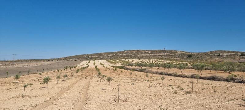 Terrenos en venta