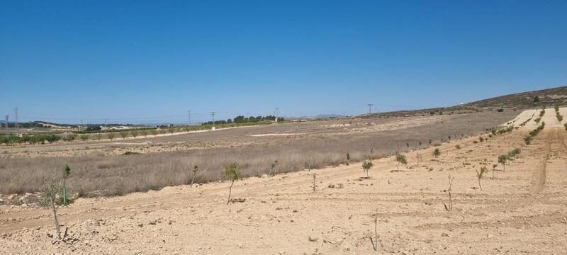 Terrain à vendre