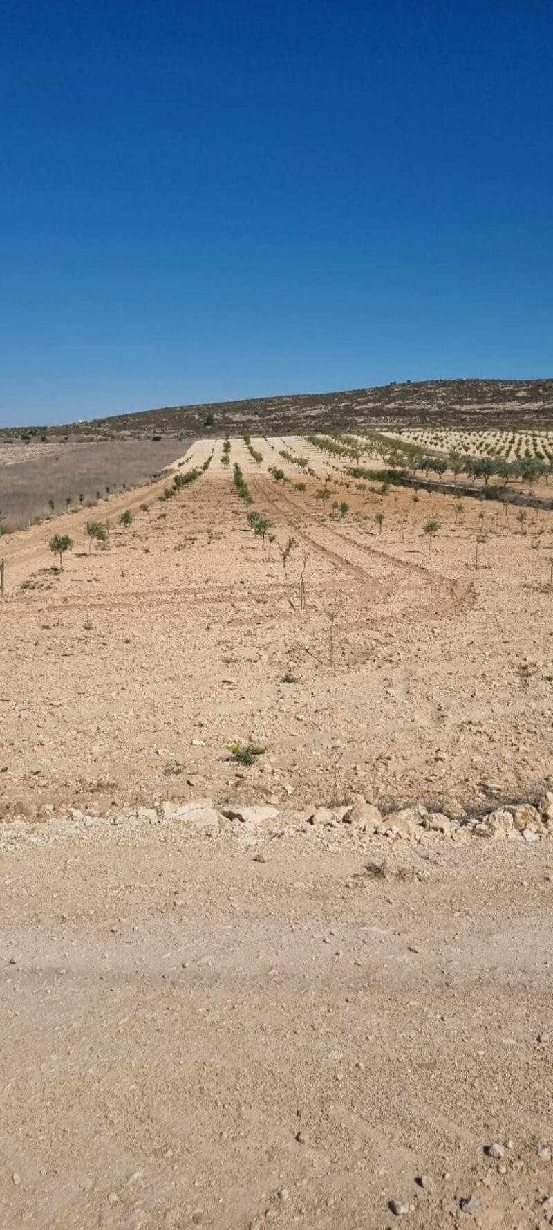 Terrenos en venta