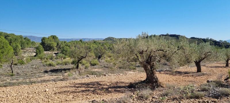 Terrenos en venta