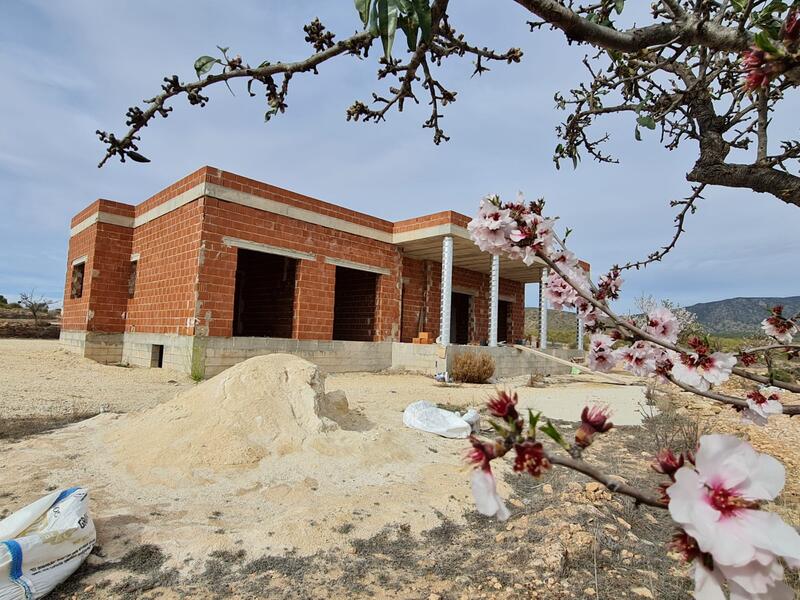 Villa à vendre dans Pinoso, Alicante