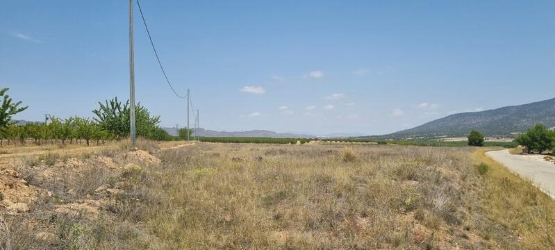 Land for sale