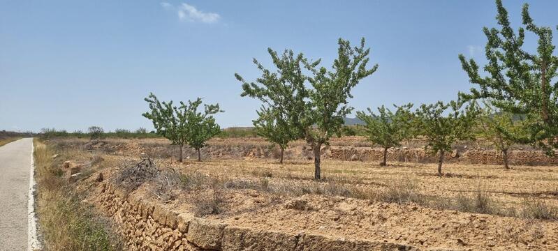 Terrenos en venta