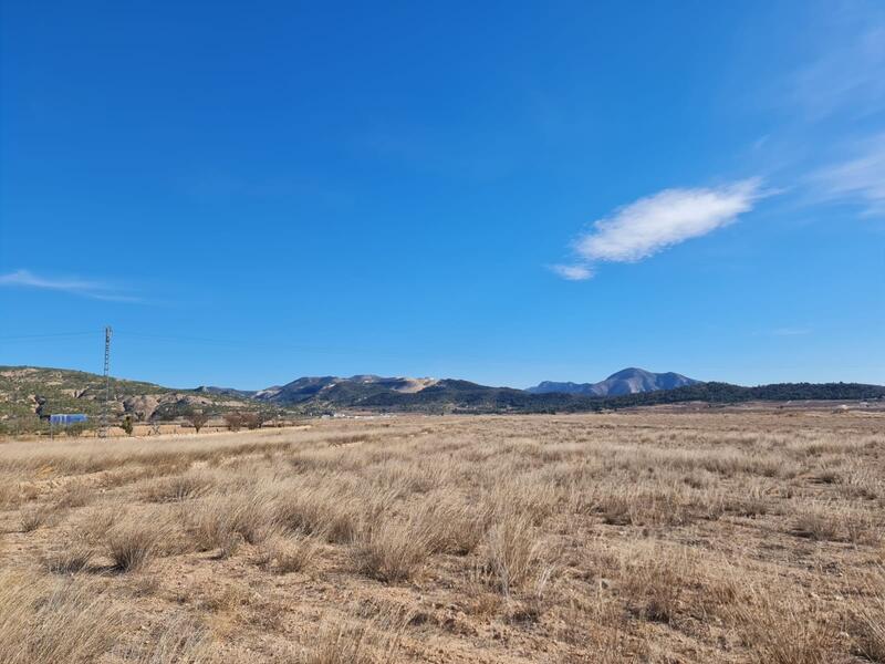 Terrenos en venta en Pinoso, Alicante