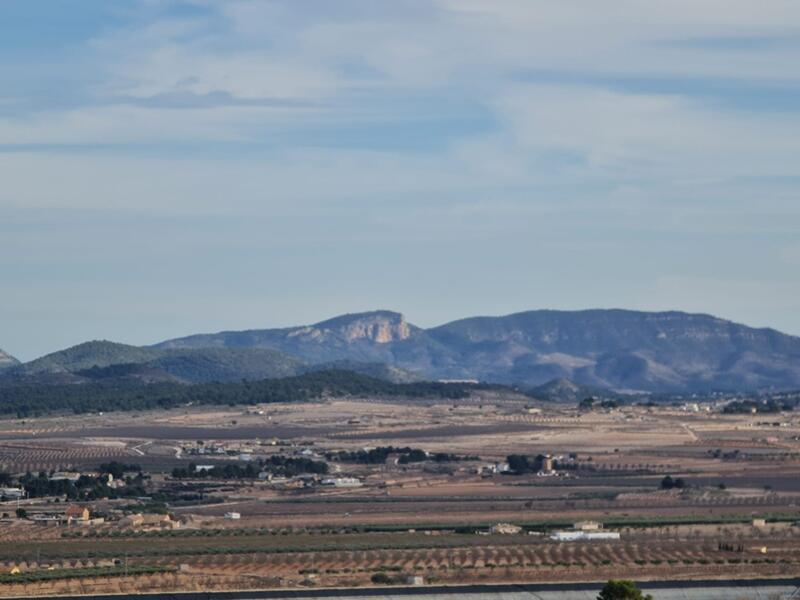 Terrenos en venta