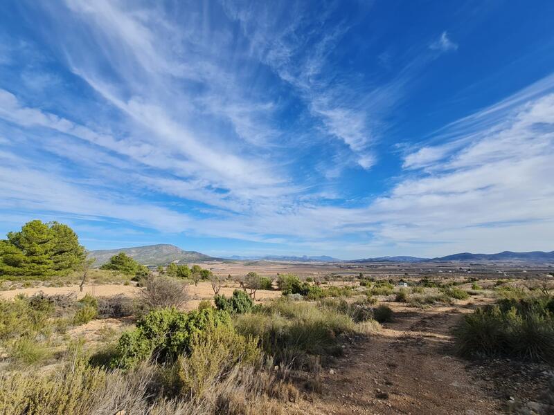 Terrenos en venta