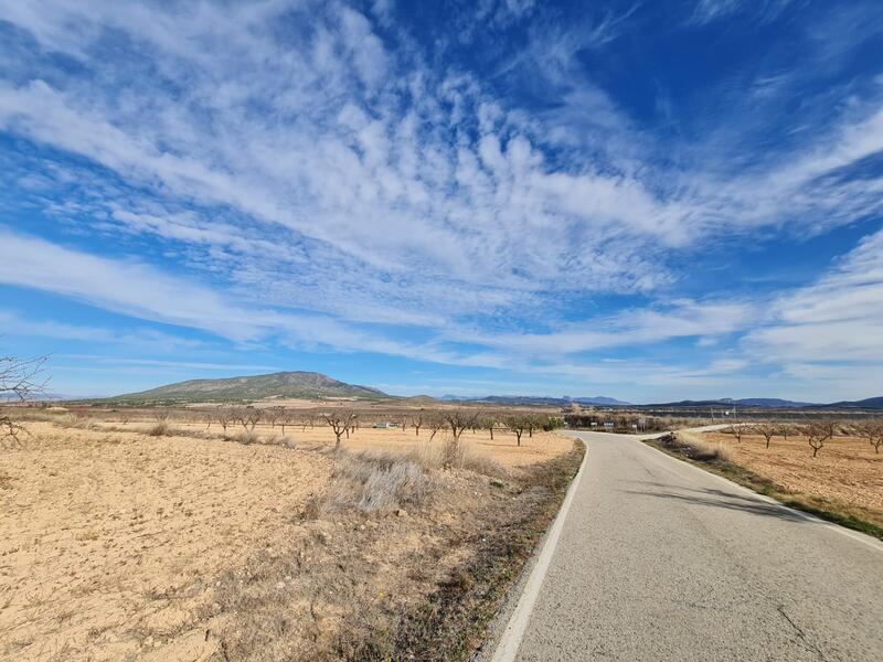 Terrain à vendre