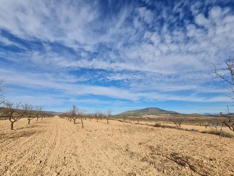 Terrain à vendre