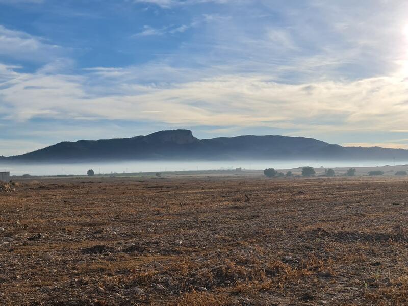 Land for sale in Monóvar, Alicante