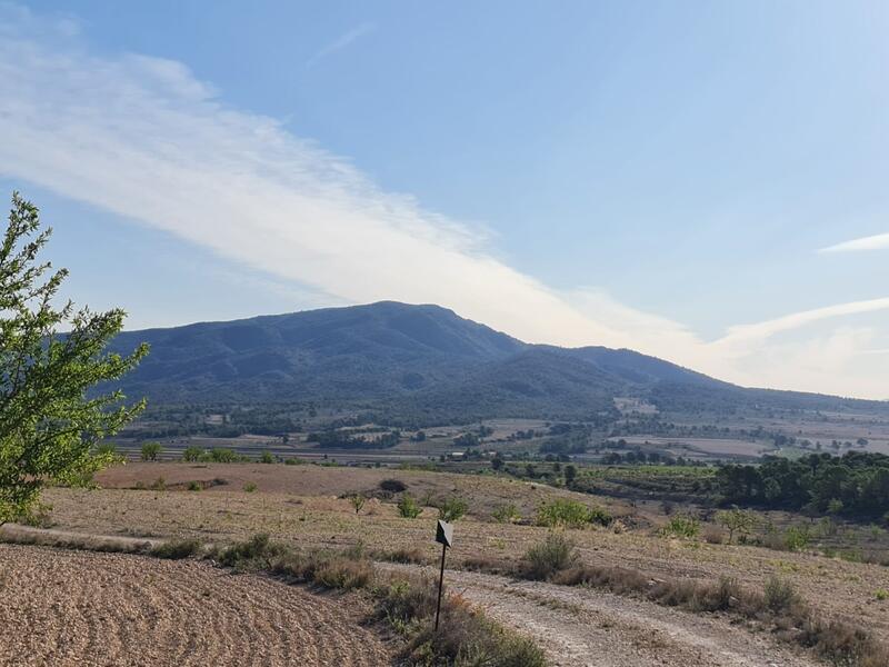 Terrain à vendre