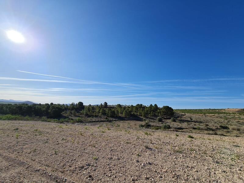 Terrain à vendre