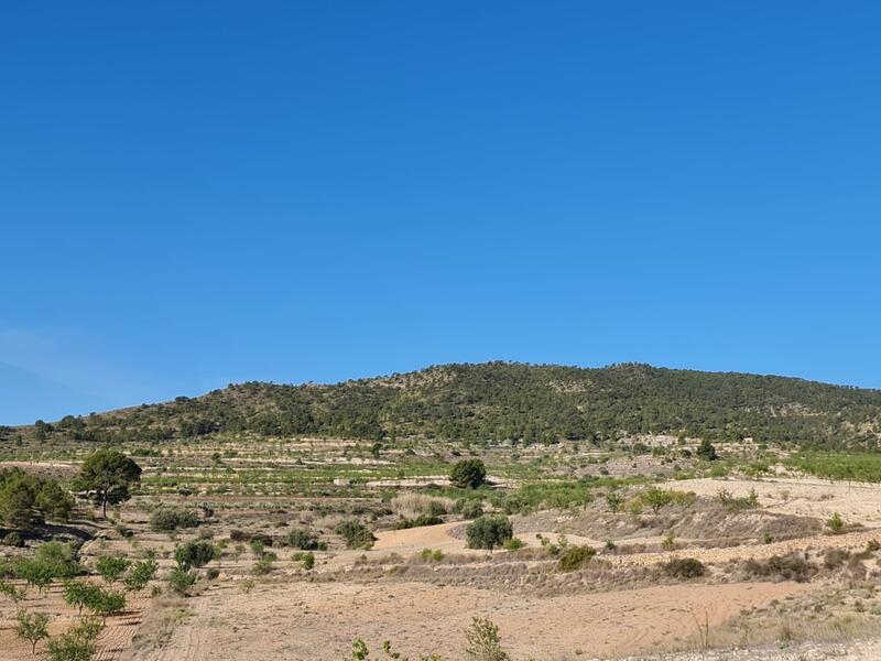 Terrain à vendre