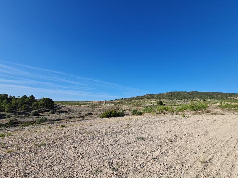 Terrain à vendre