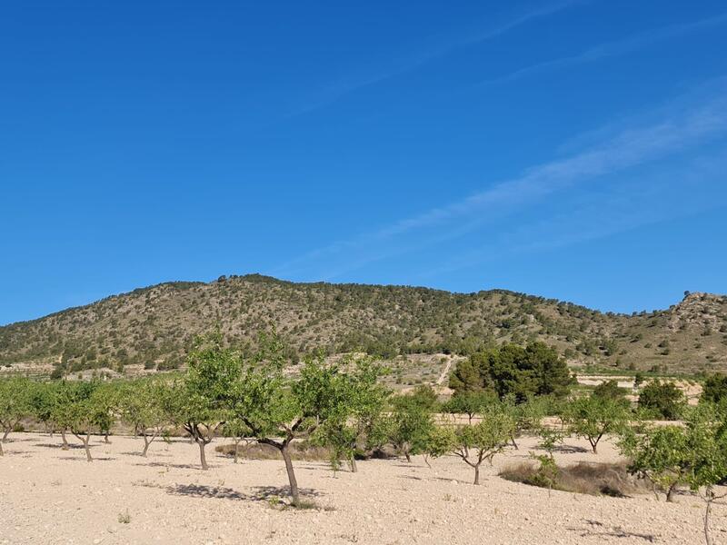 Terrain à vendre