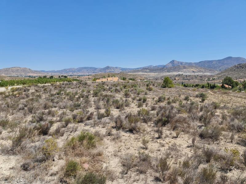 Land for sale