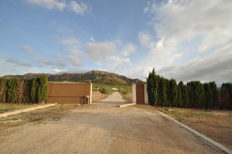 Villa for sale in Jumilla, Murcia