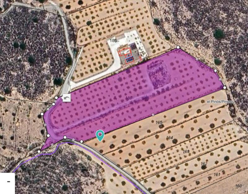 Land for sale in Pinoso, Alicante