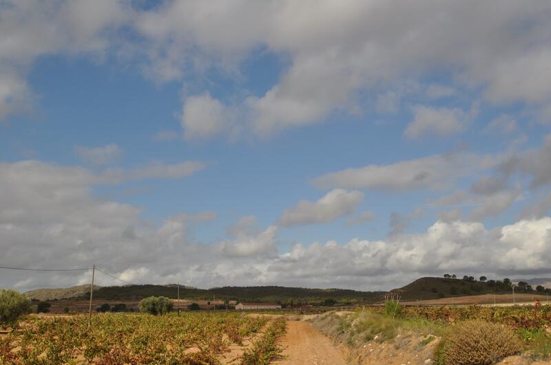 Terrain à vendre