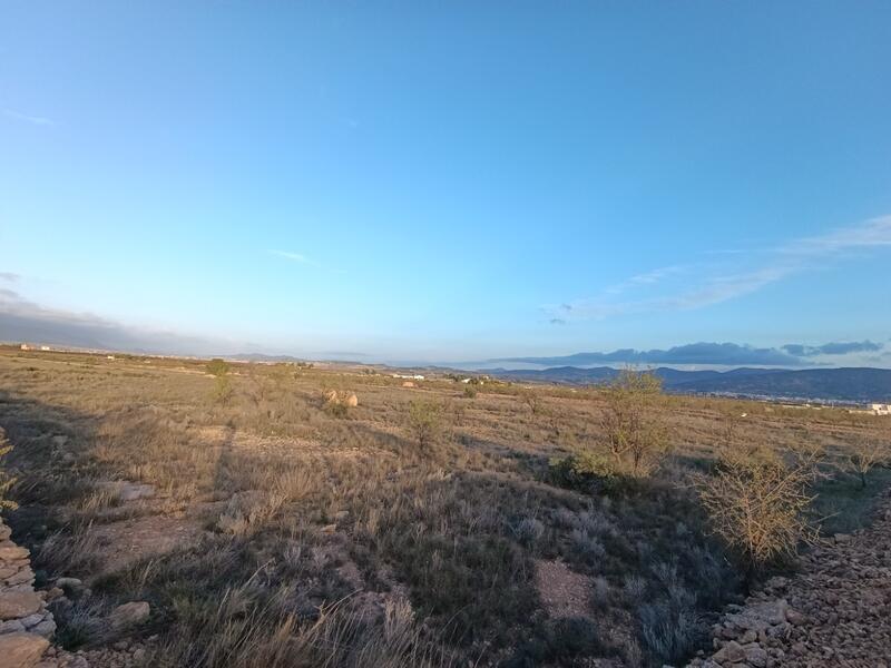 Terrain à vendre dans Pinoso, Alicante