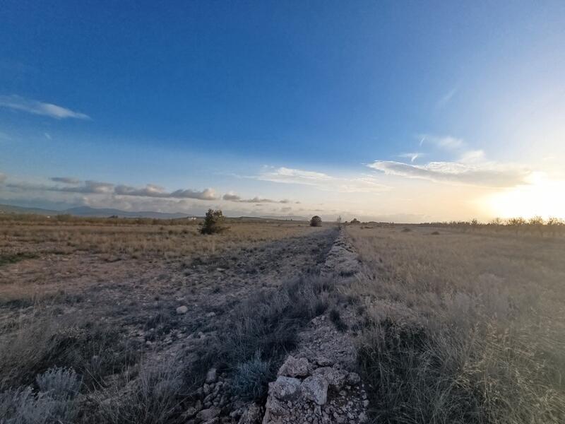 Terrenos en venta