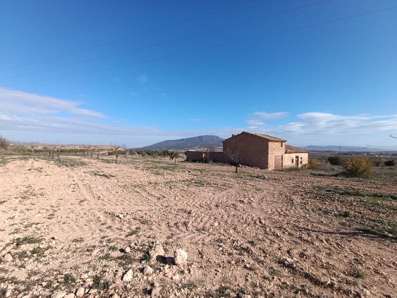 Country House for sale in Yecla, Murcia