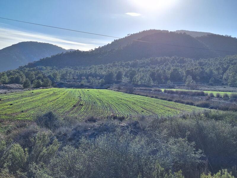 Terrenos en venta